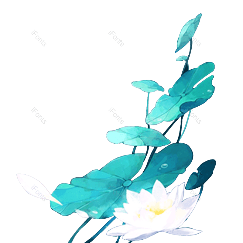 夏至图片,荷花元素,夏天PNG,花卉免抠素材